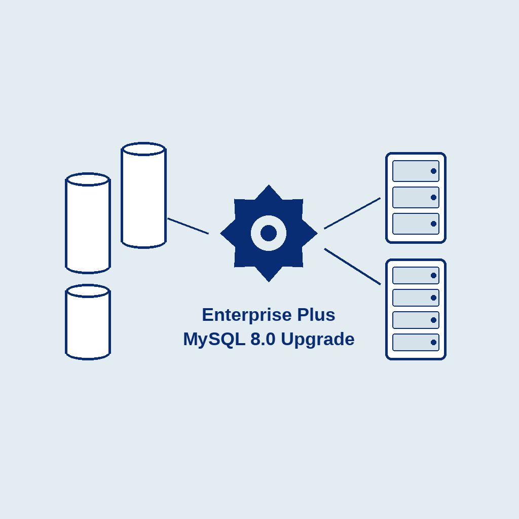 Enterprise Plus MySQL 8.0: databases, a gear, and servers
